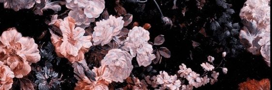 Verena banner