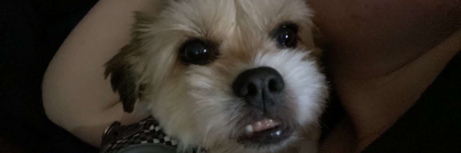 askinzz's profile banner image