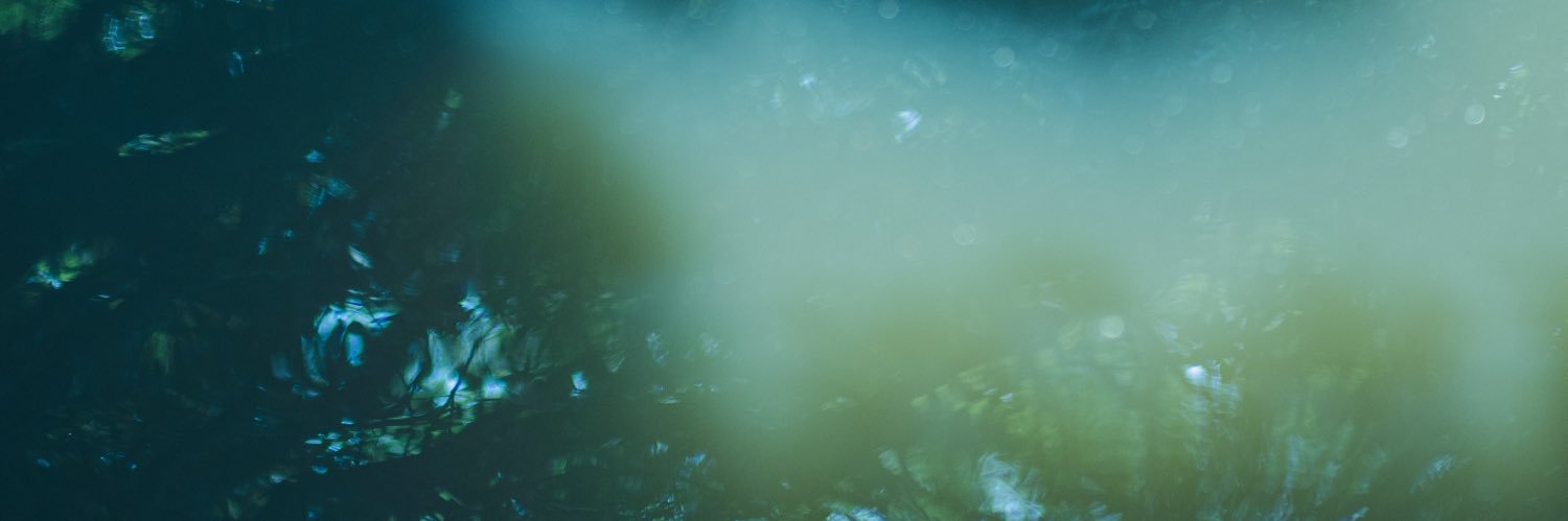 Shun banner