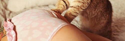 werster_willice's profile banner image