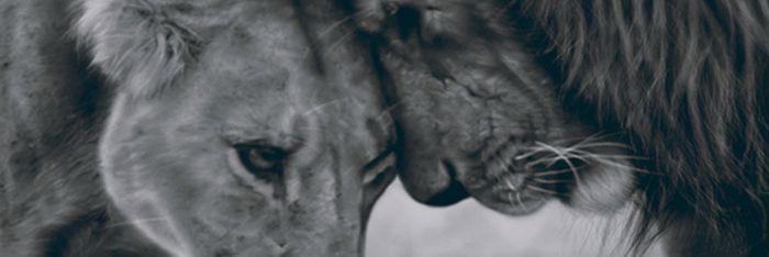 FrkLdy's profile banner image