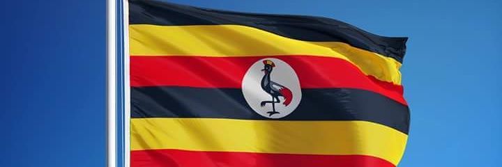 Dan M Nabaasa 🇺🇬 banner