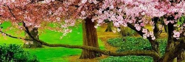 luvwordsmith's profile banner image