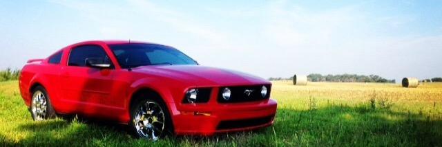 livengood_8's profile banner image