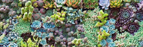 britthurleyott Profile Banner