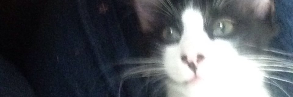 Roenesto's profile banner image