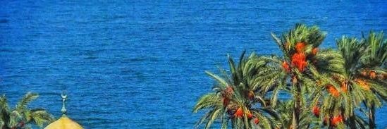 : عيد المرزوقي : Eid Al Marzouqi banner