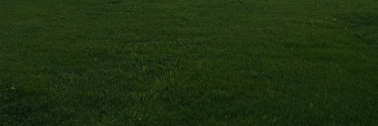 sjkrptk's profile banner image