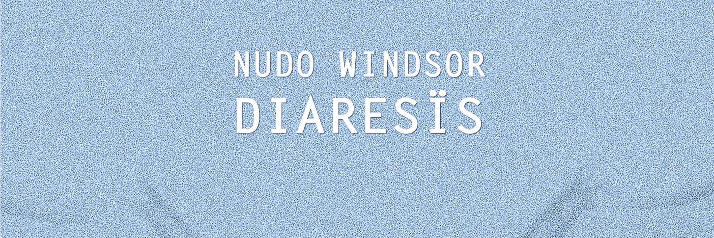 NudoWindsor's profile banner image