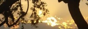 StonRol's profile banner image