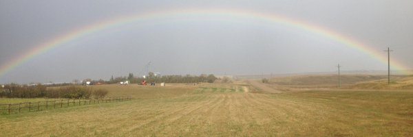 camdencattle Profile Banner