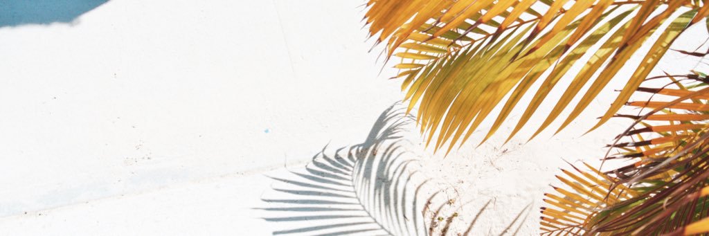 Mackenzziehall's profile banner image