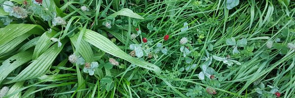 JosefAppell Profile Banner