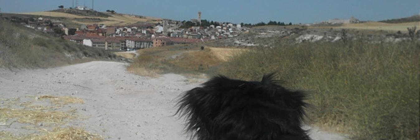 VickyCuellar94's profile banner image