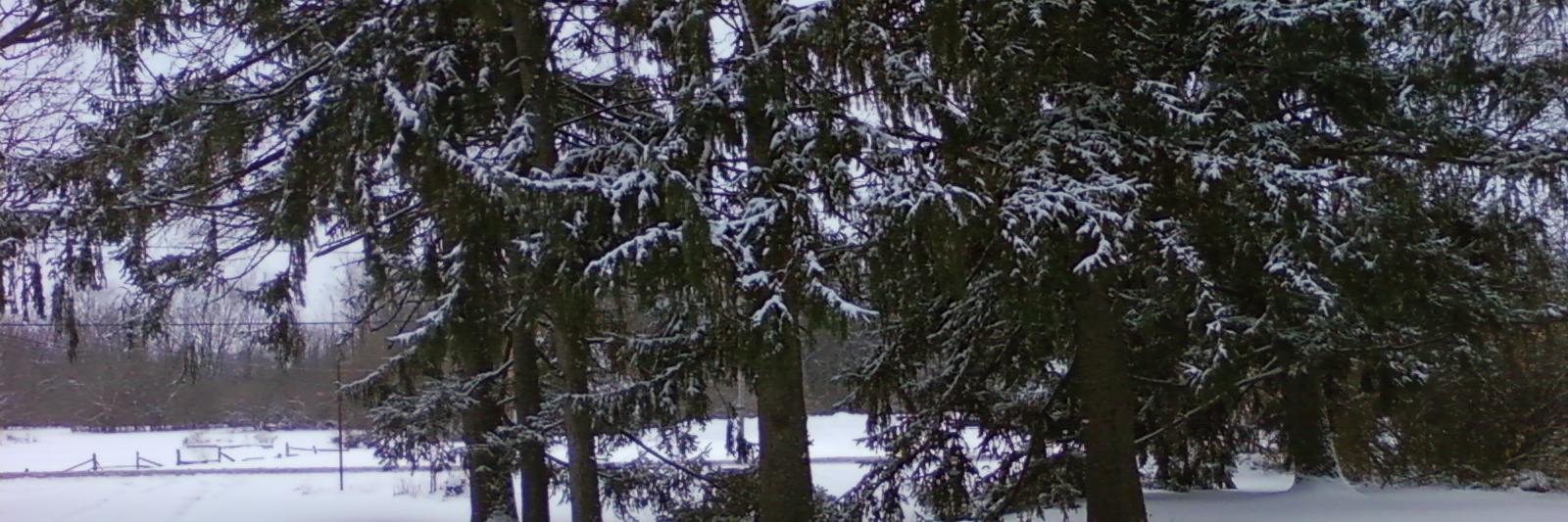 George Campbell banner