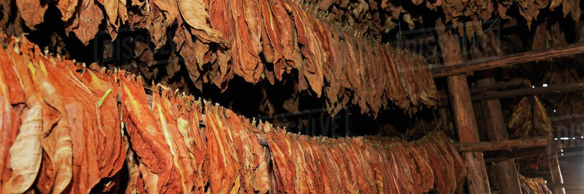 bdiggins76's profile banner image