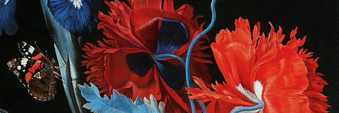 jaiitbh's profile banner image