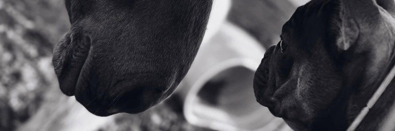 NoblesHeather's profile banner image