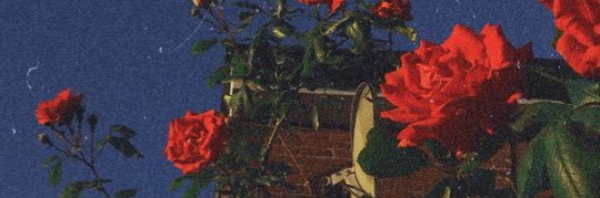 E's banner