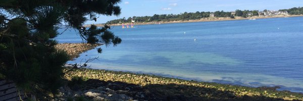 avery64 Profile Banner