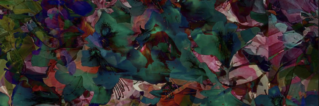dallasfish_'s profile banner image