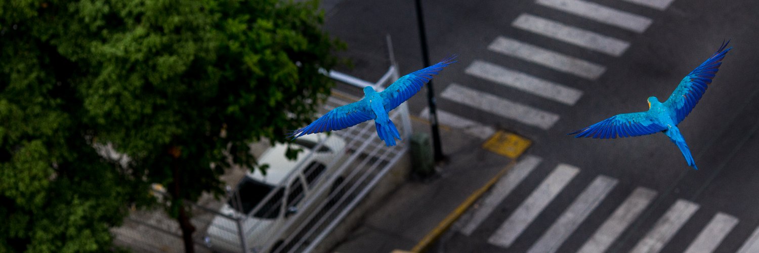 Patricia Laya banner