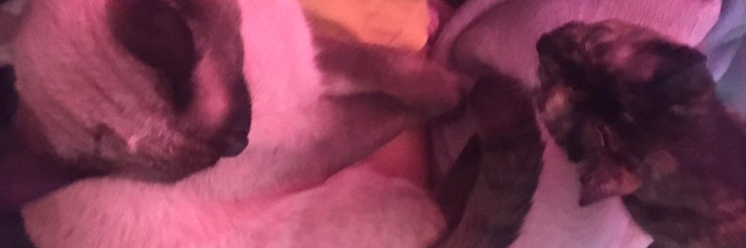 bunbujonj's profile banner image