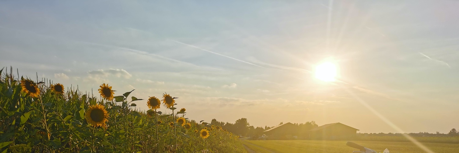 Franziska Folmer (geb. Mai) banner