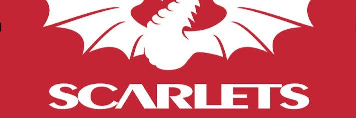 scarletsno1's profile banner image
