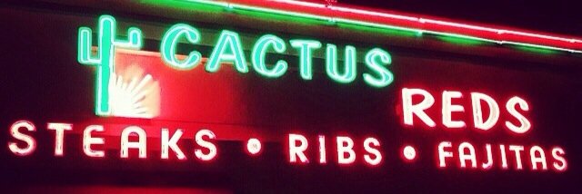 CactusReds's profile banner image