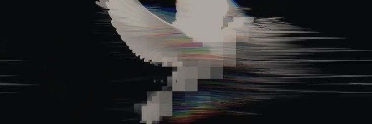 ®️ banner