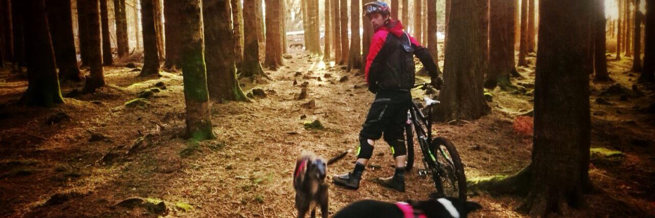 NormsBikes's profile banner image