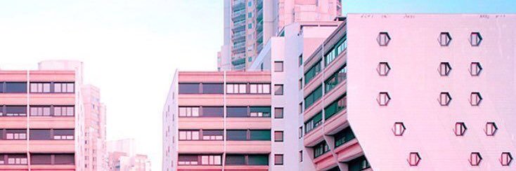 daisydenouden's profile banner image