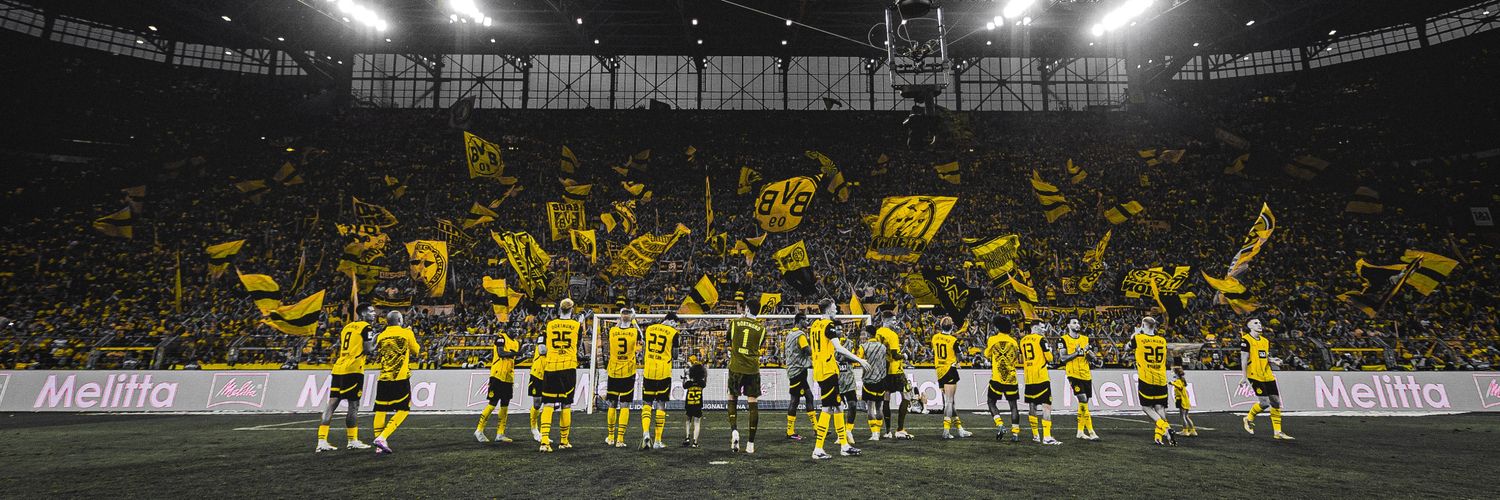 BVB.Cat banner