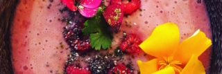KimLienKelly's profile banner image
