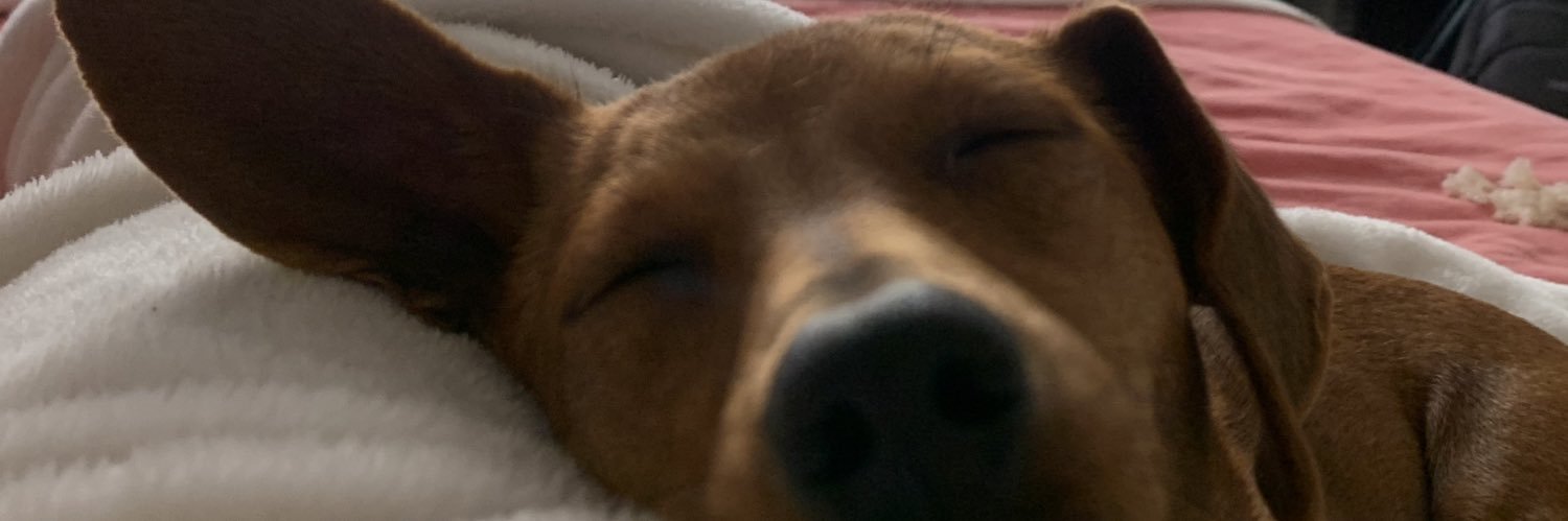 anierick00's profile banner image