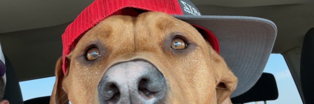 coggins_d's profile banner image