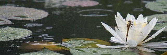 110_suk's profile banner image