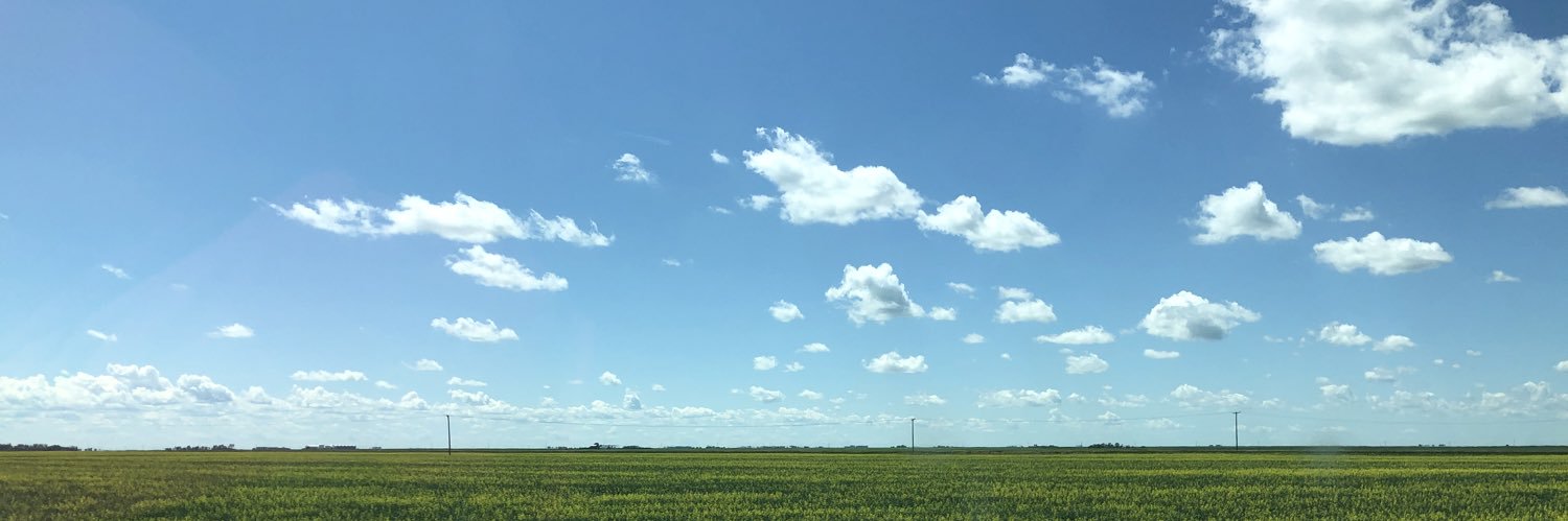 lypr306's profile banner image