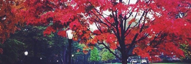 cooperbearnyc's profile banner image