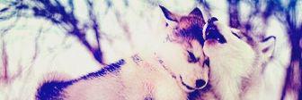 pretty_salmaEl's profile banner image