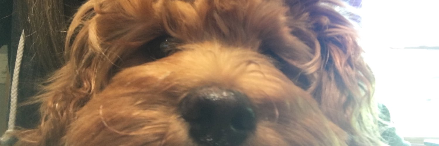 abbey_lou26's profile banner image