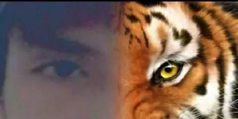 hendrawijaya522's profile banner image