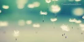 Kailey Gottschalk banner