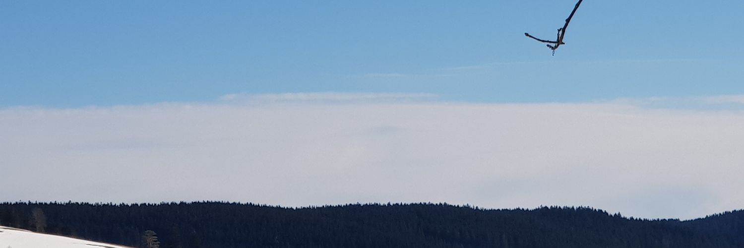 AngeliqueVM9's profile banner image