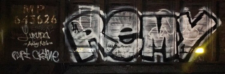 RealRecognzeREM's profile banner image