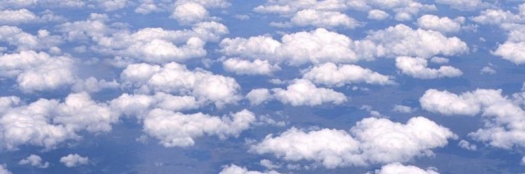 oriane_cpn's profile banner image