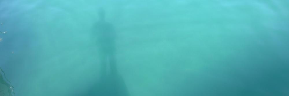 Erik Joling banner