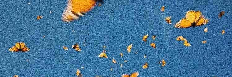 mkkaaayyy's profile banner image