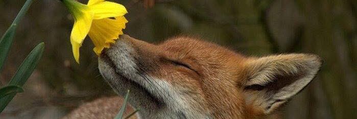 MoragTwort's profile banner image